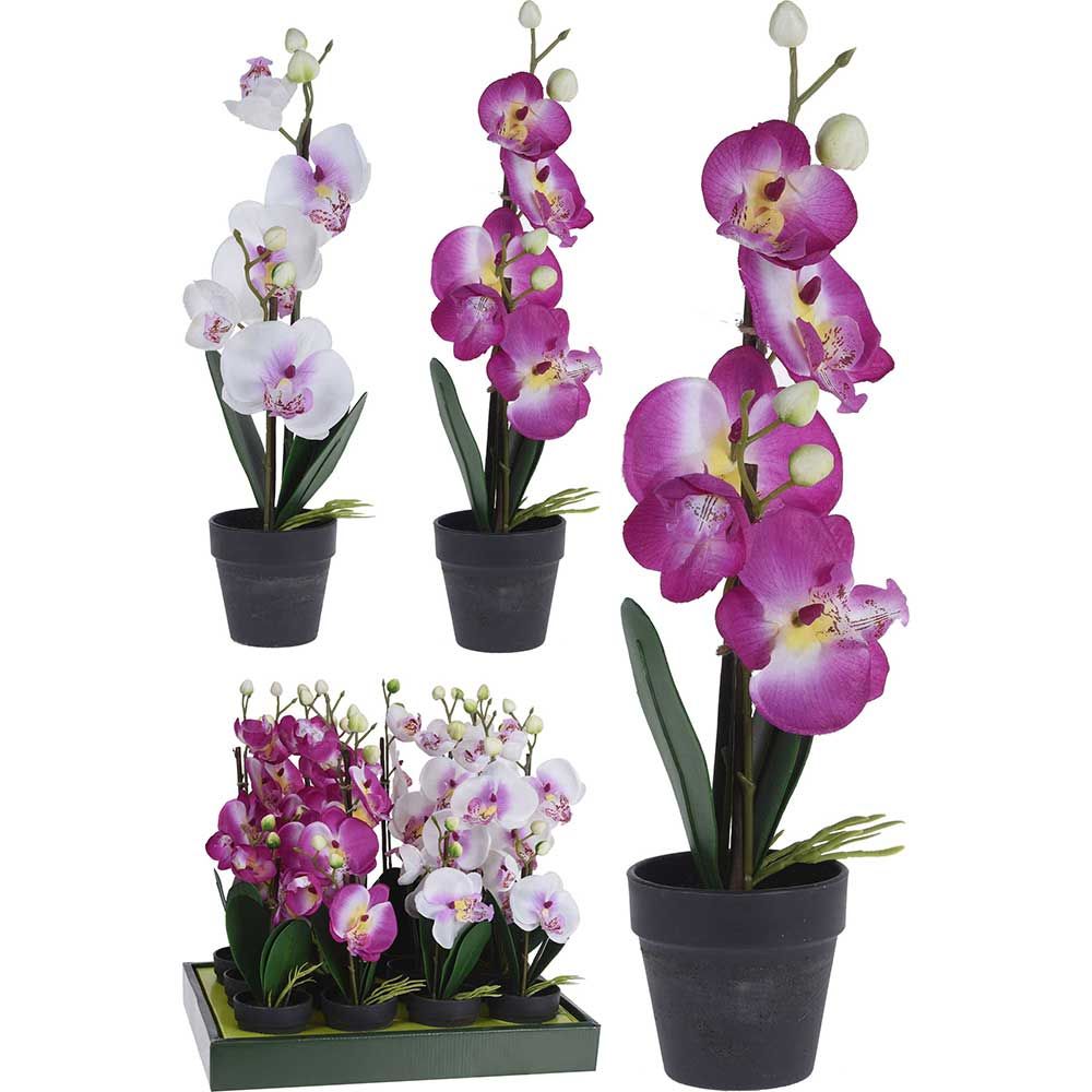 bucatarie romantica orhidee