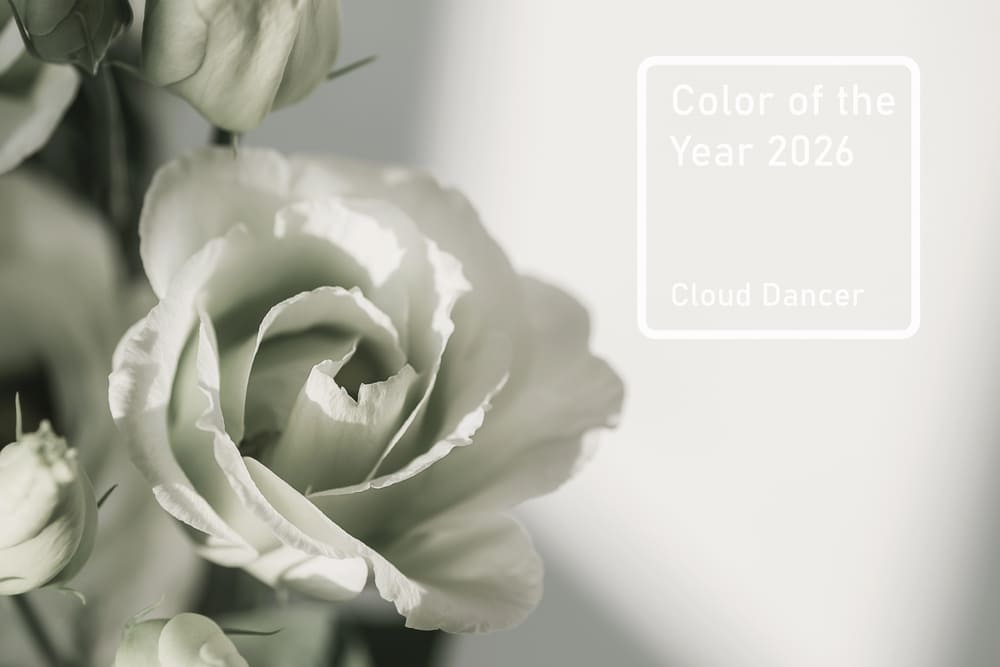 cloud-dancer-claritate-si-simplificare