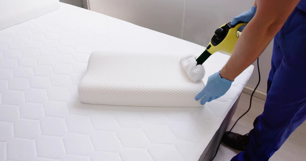 curatare-abut-plosnite